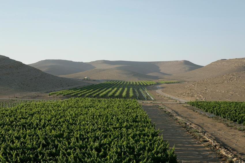 פטריוט -יקב ננה Villa Mitzpe Ramon Exterior photo